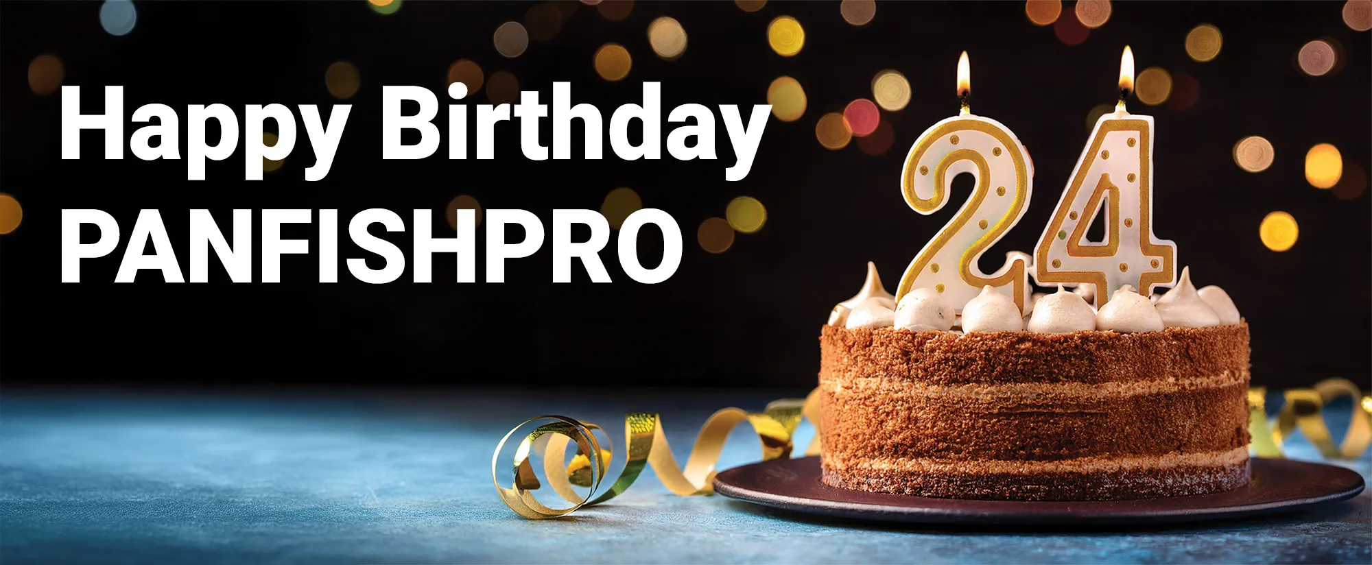 This is an image of a birthday cake with candles. This image is in celebration of Panfishpro being online for twenty-four years.